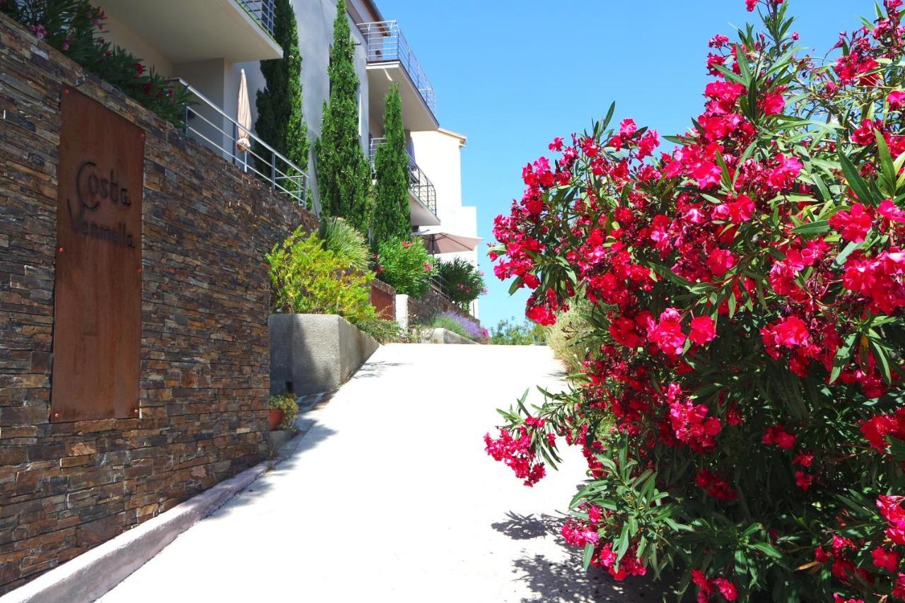 Cerbère Residence Costa Vermella, Vue Mer Et Montagne Au Calme מראה חיצוני תמונה